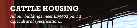 CATTLE HOUSING
